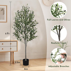 Generic gros plan feuillage gris-vert reproduit aspect méditerranéen