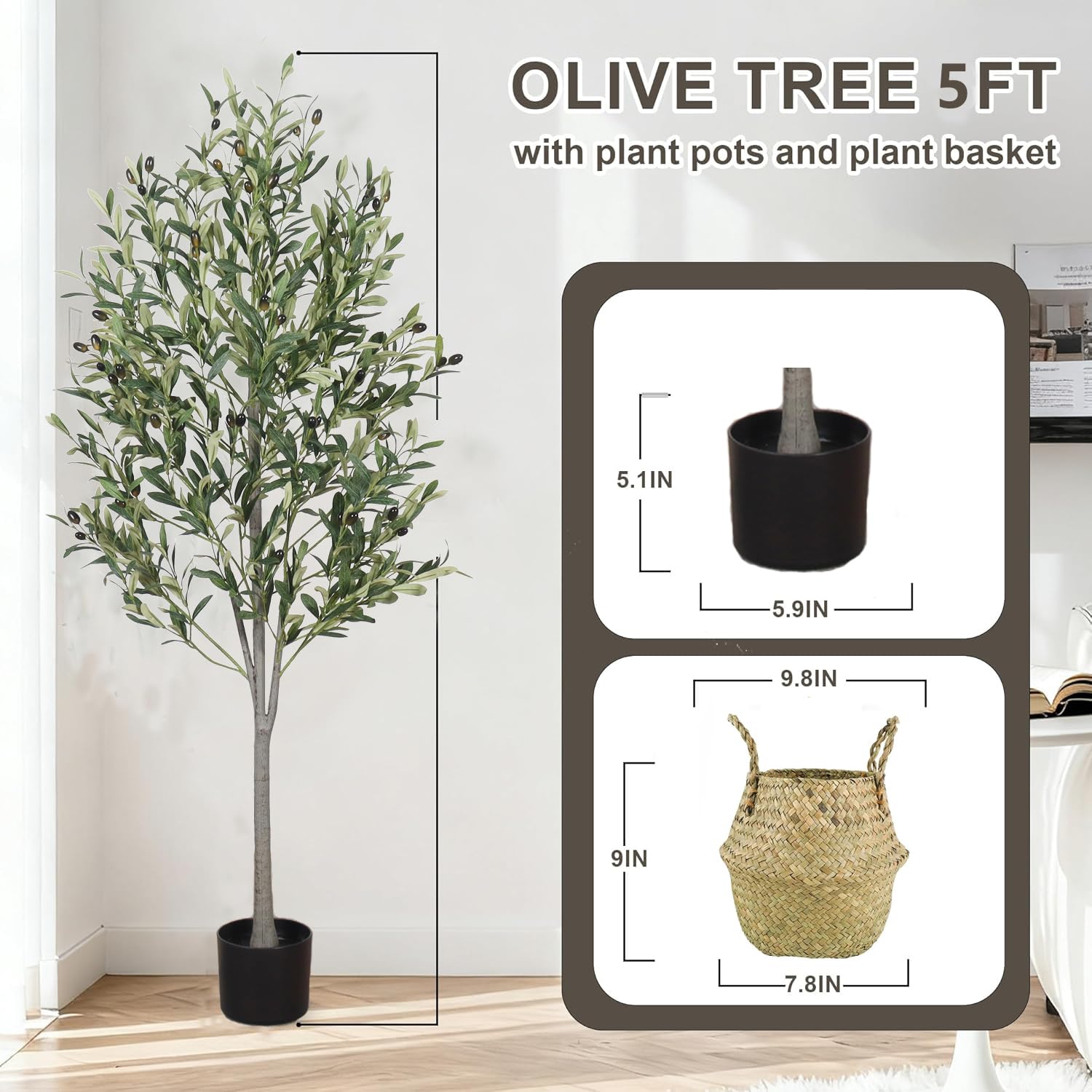 Generic olives décoratives sur branches ajoutant authenticité visuelle