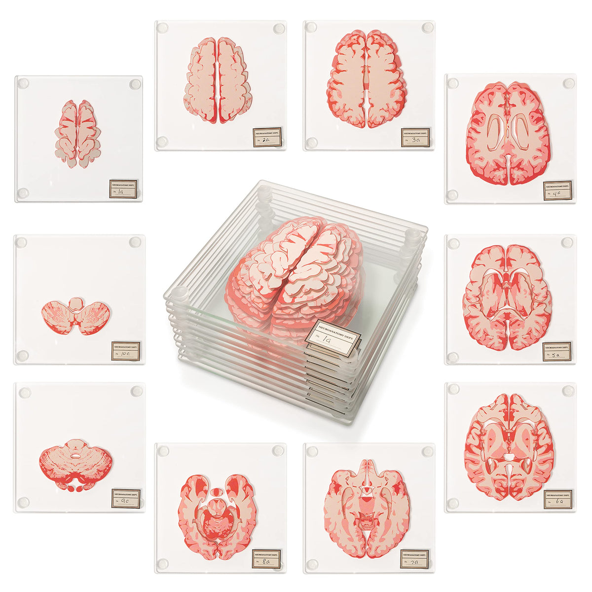 Generix Geek packaging du set de 10 dessous de verre cerveau, cadeau original