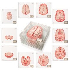 Generix Geek packaging du set de 10 dessous de verre cerveau, cadeau original