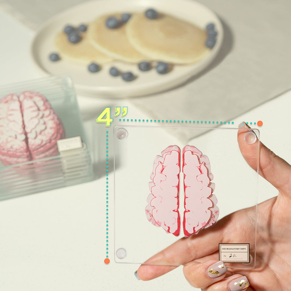 Generix Geek mise en scène sur bureau scientifique, décoratif et conversationnel