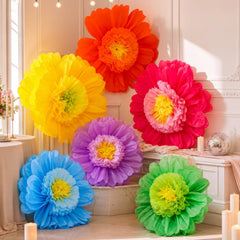 Giegxin fleurs avant-boîte montrant six couleurs vives et impact visuel