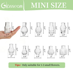 Glasseam comparaison taille avec carte pour visualiser échelle
