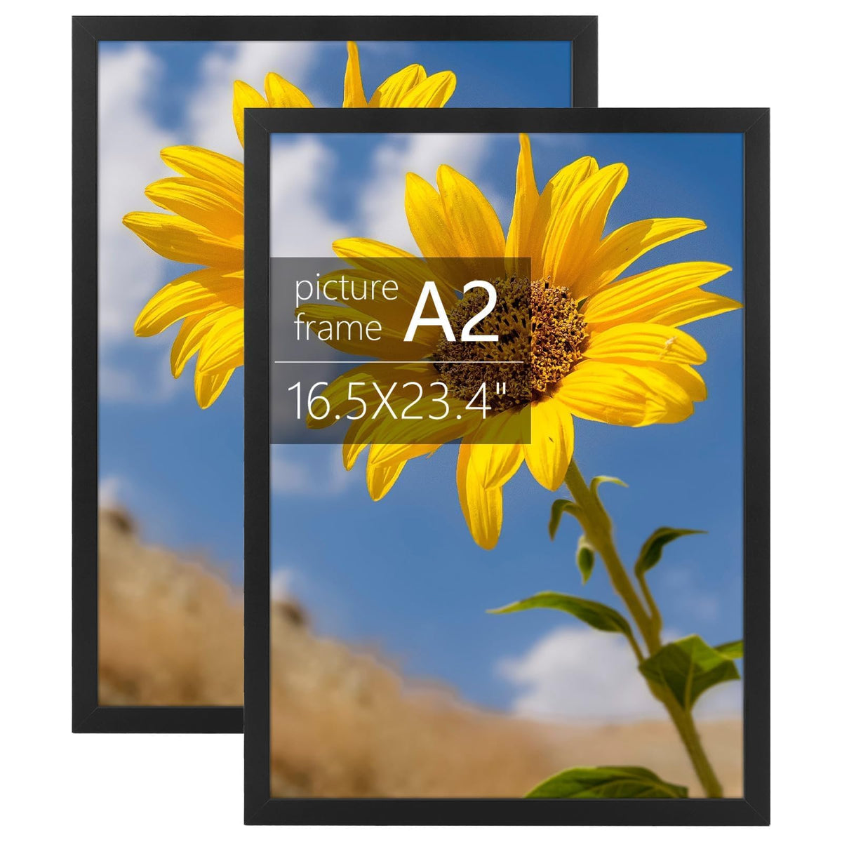 Golden State Art cadre A2 avant montrant finition noire et impact visuel