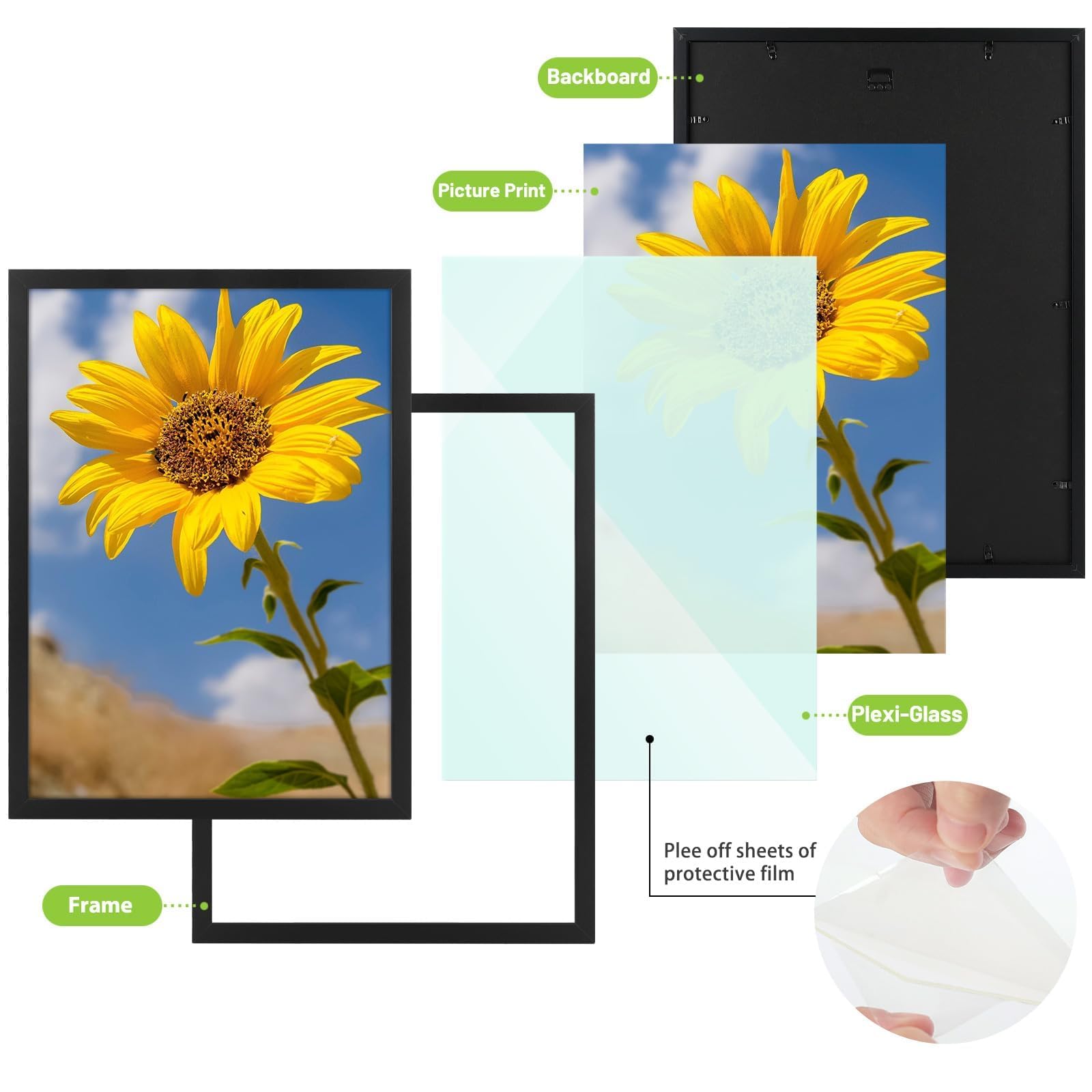 Golden State Art plexiglas gros plan protégeant l'affiche et facilitant nettoyage