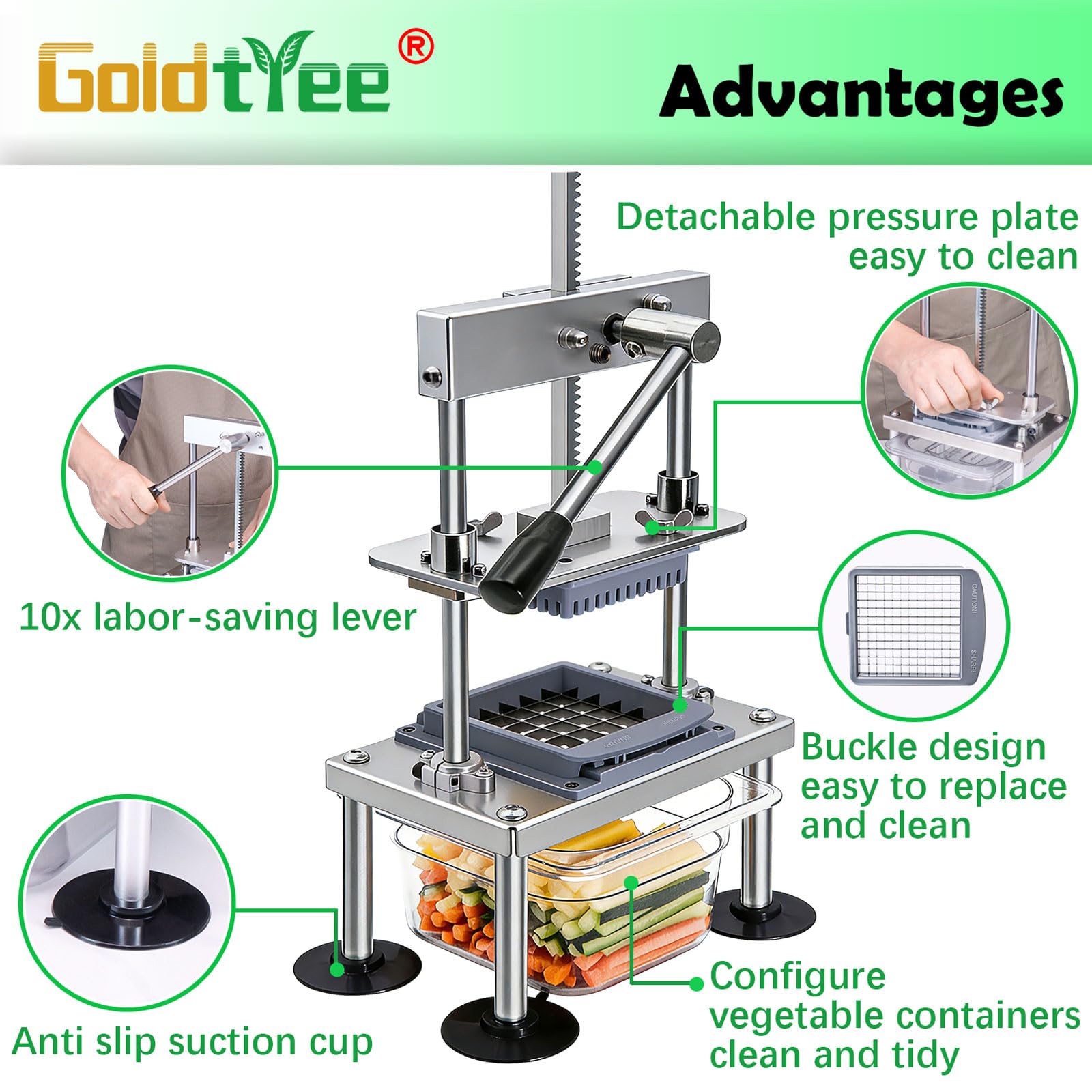 goldtree échelle de taille comparant pomme de terre pour coupe précise