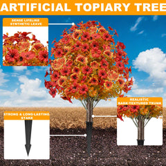 Grandeal topiaire en pot sur terrasse ajoutant ambiance automnale