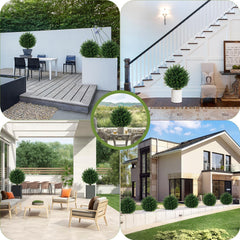 Grewyear buisson en pot sur terrasse apportant verdure sans entretien