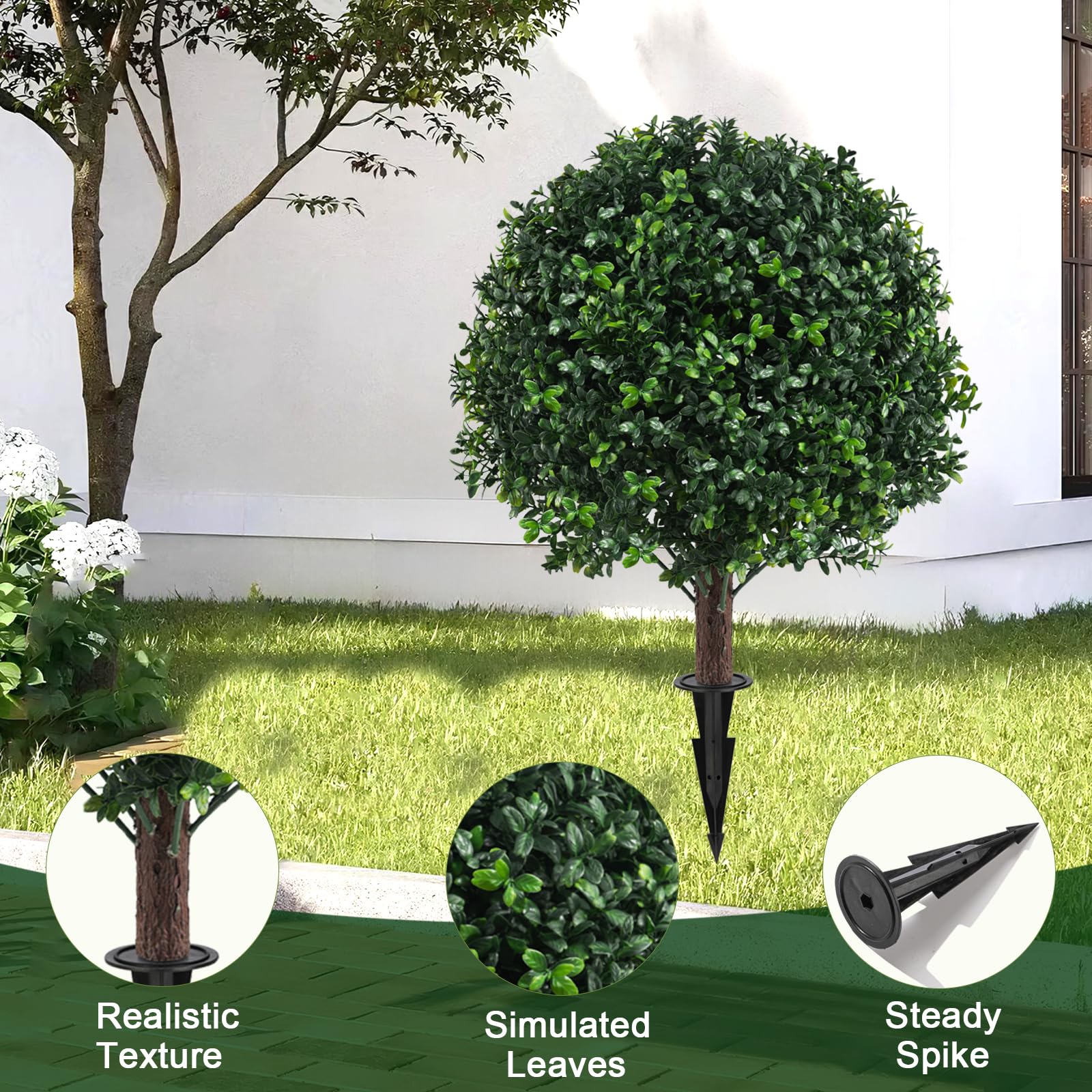 Grewyear comparaison d'échelle montrant taille 24" et proportion dans jardin
