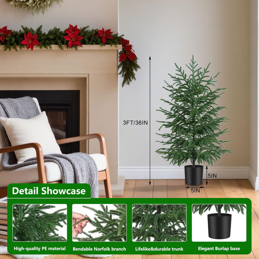 Grooy sapin Norfolk dans un salon moderne ajoutant chaleur et style