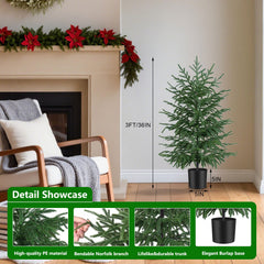Grooy sapin Norfolk dans un salon moderne ajoutant chaleur et style
