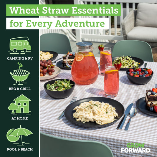 grow forward assiette dinner 10,5" durable incassable esthétique moderne