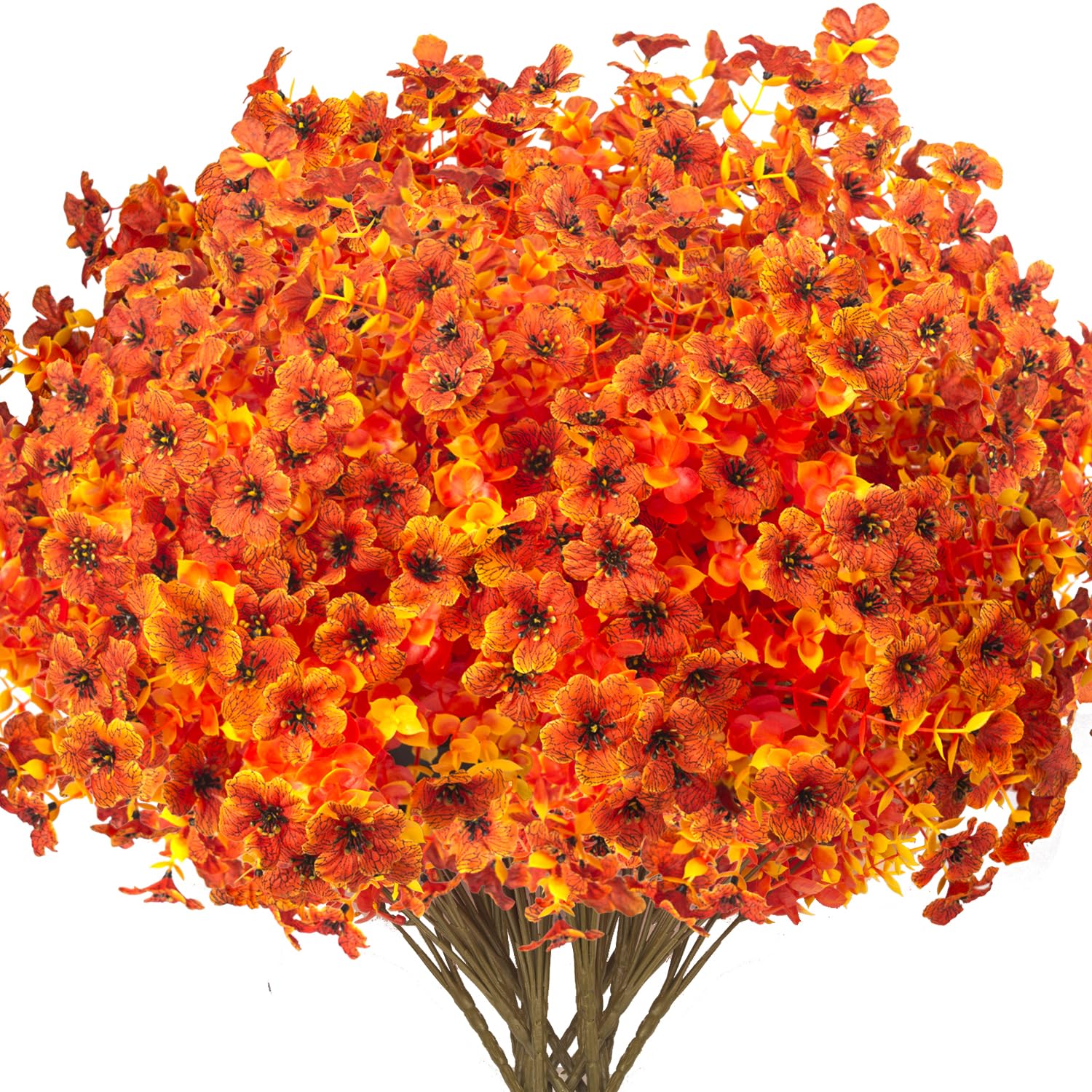 Grunyia face du bouquet orange montrant densité et couleur durable