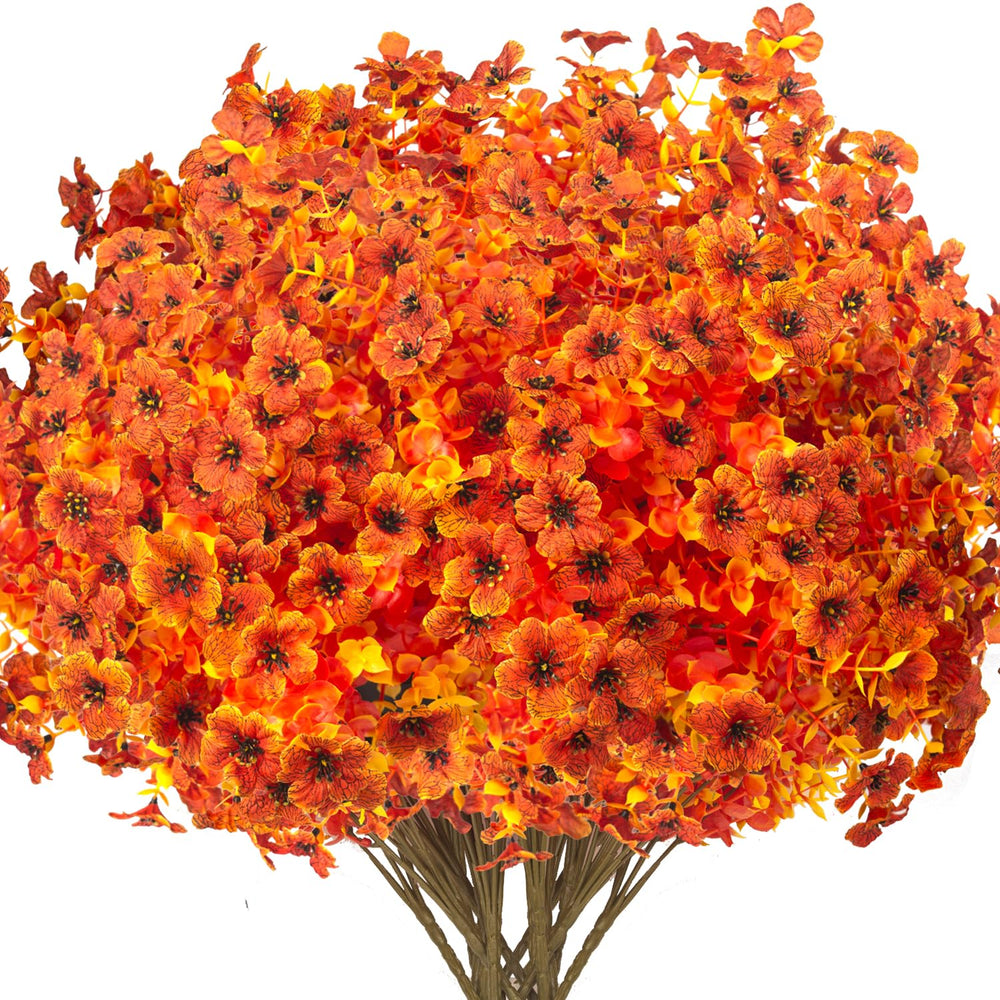 Grunyia face du bouquet orange montrant densité et couleur durable