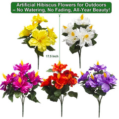 Détail du feuillage Grunyia avec feuilles vertes apportant contraste naturel