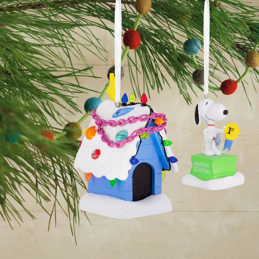Hallmark niche détail montrant texture et ruban de premier prix