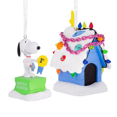 Hallmark Snoopy face avant montrant expression joyeuse et charme nostalgique
