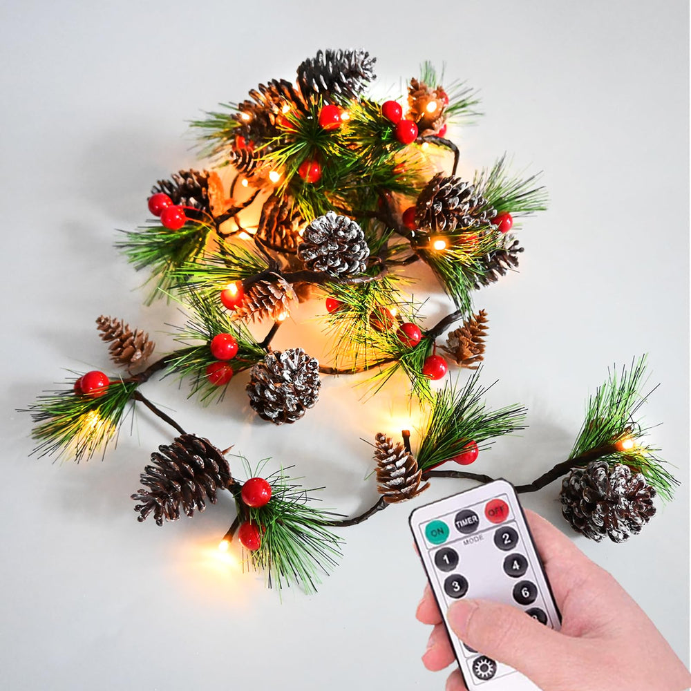 HamiFinee guirlande devant porte apportant accueil lumineux festif