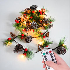 HamiFinee guirlande devant porte apportant accueil lumineux festif