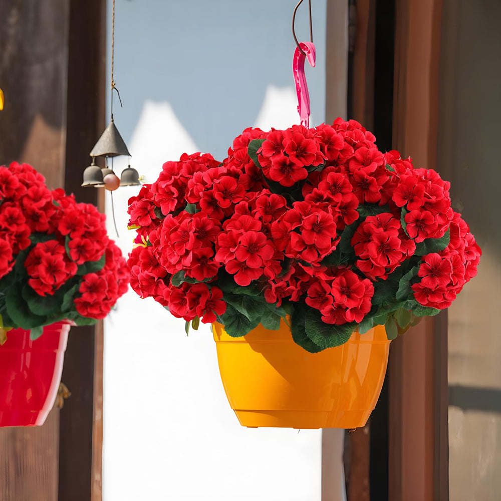 Hananona geranium emballage et contenu lot prêt à installer