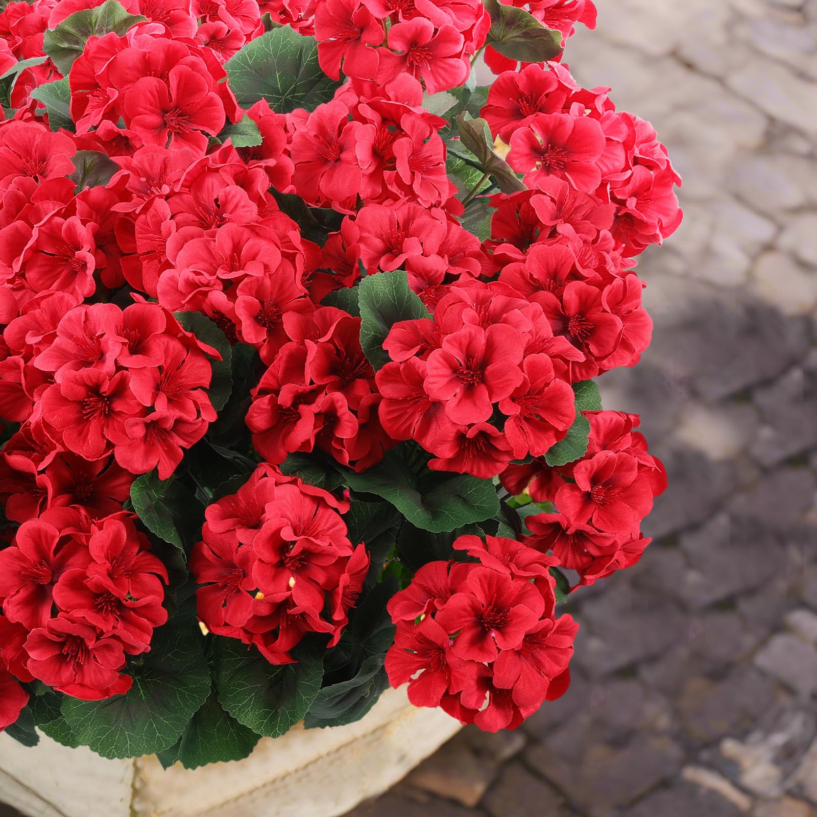 Hananona geranium ensemble sur balcon couleur extérieure durable