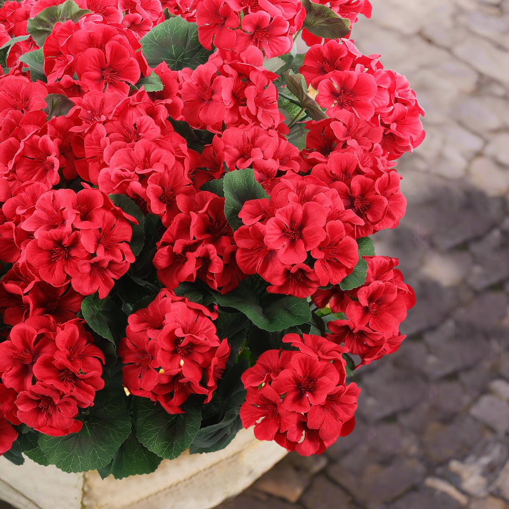 Hananona geranium ensemble sur balcon couleur extérieure durable