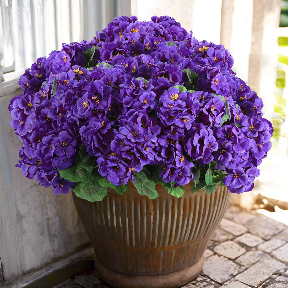 Hananona paquet de 6 géraniums violets prêt à décorer, look naturel durable