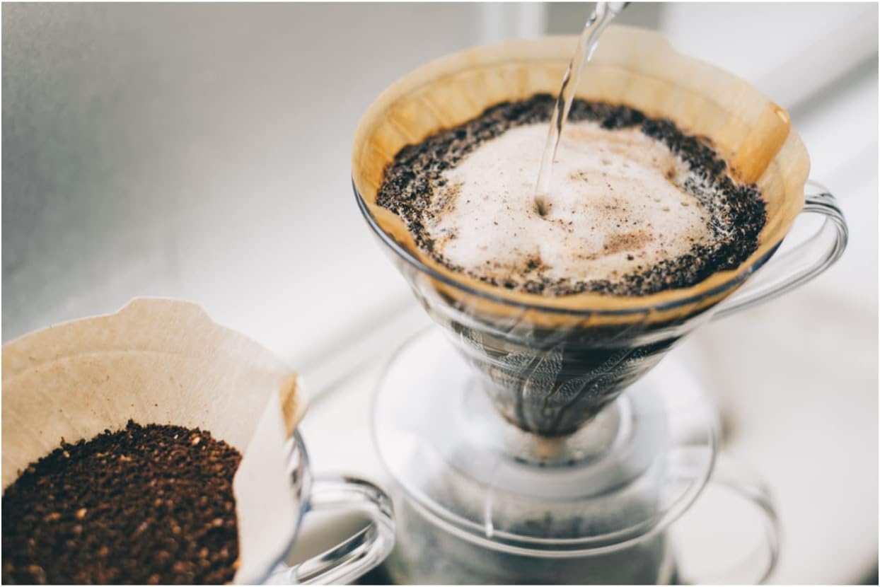 HARIO comparaison taille du filtre avec une tasse montrant capacité 1 à 4 tasses