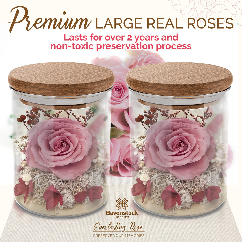 Havenstock rose présentée dans sa boîte cadeau prête à offrir