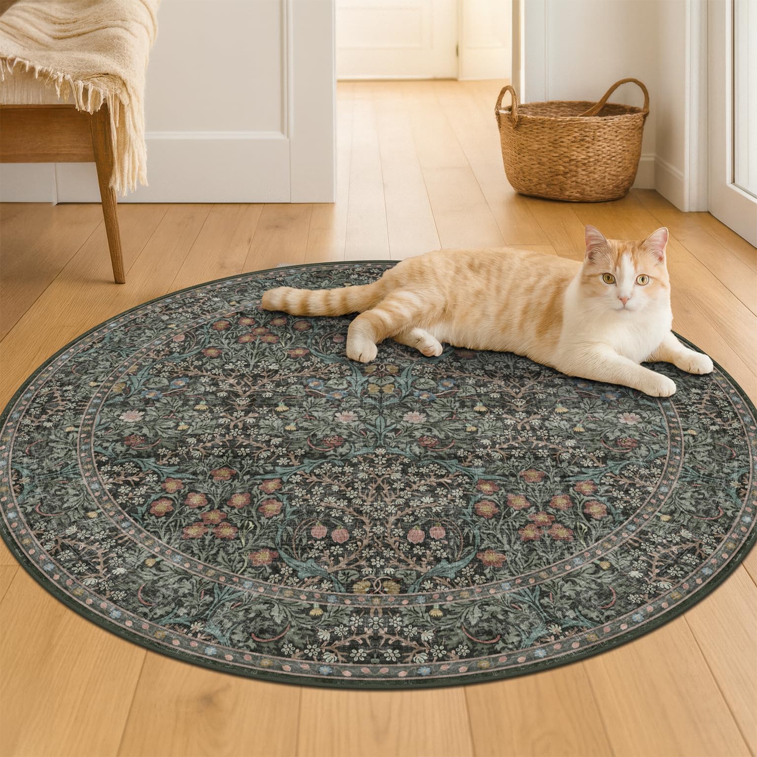 Hazo Haus tapis en situation salon apportant chaleur et point focal élégant