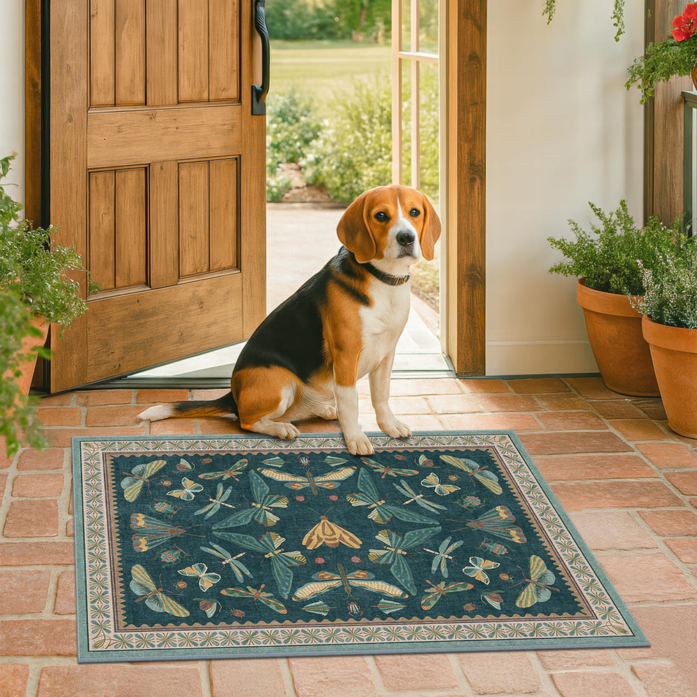 Hazo Haus tapis 2x3 posé à côté d'une chaise pour visualiser l'échelle