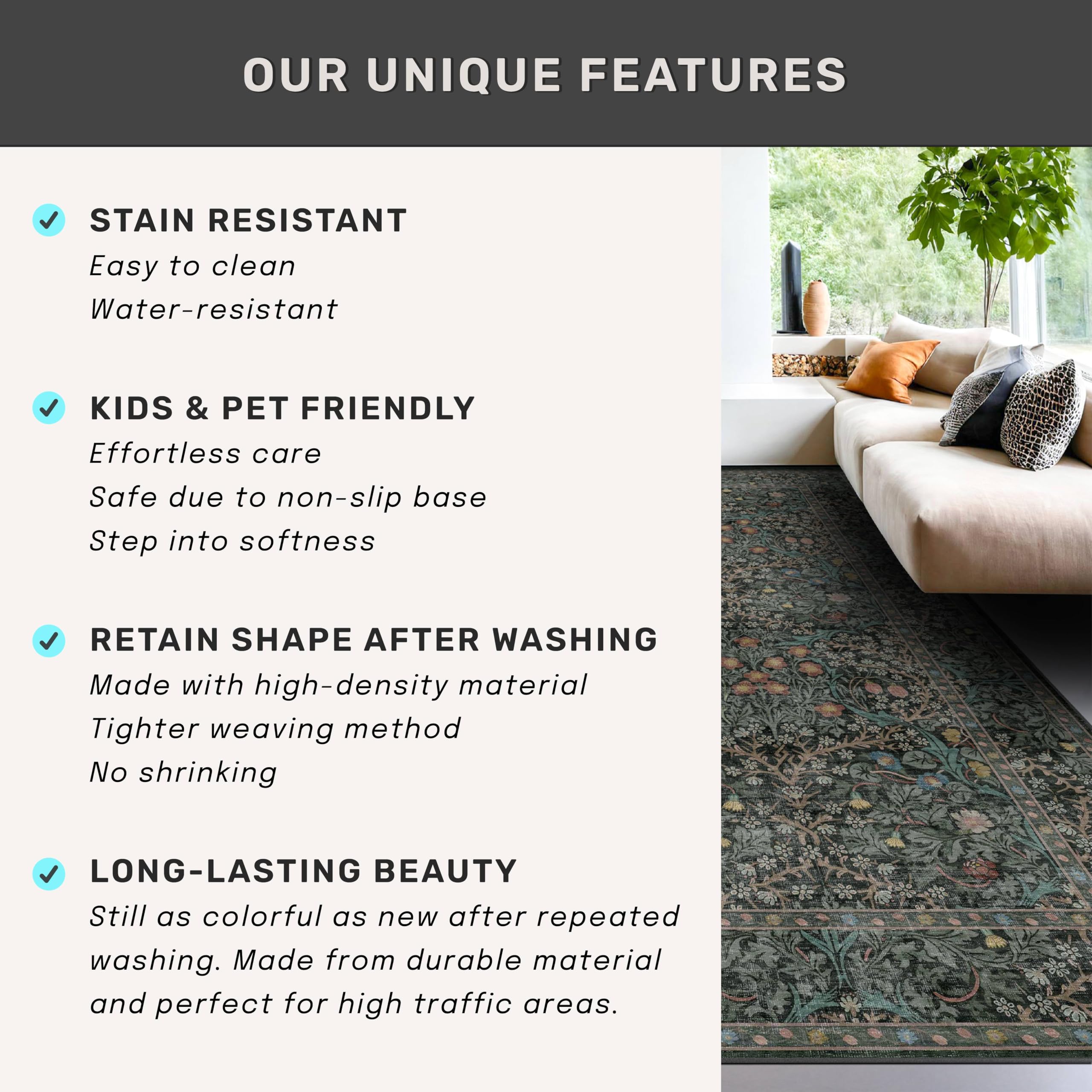 Hazo Haus tapis plié à l'arrivée indiquant conseils de dressage et réduction de plis