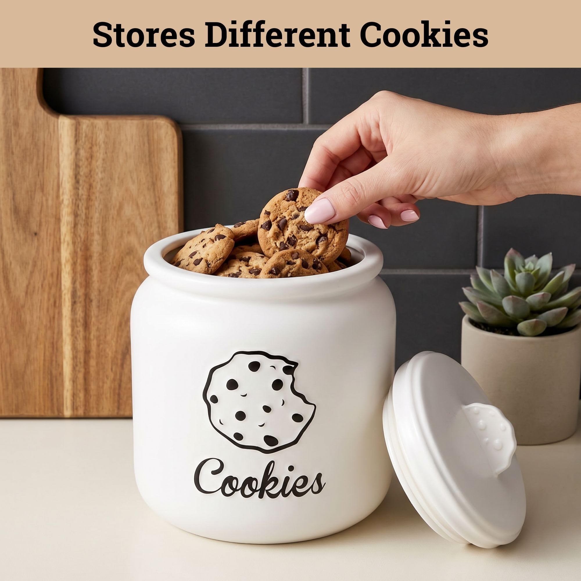 HB Design Co. comparaison taille avec biscuits, montre capacité réelle