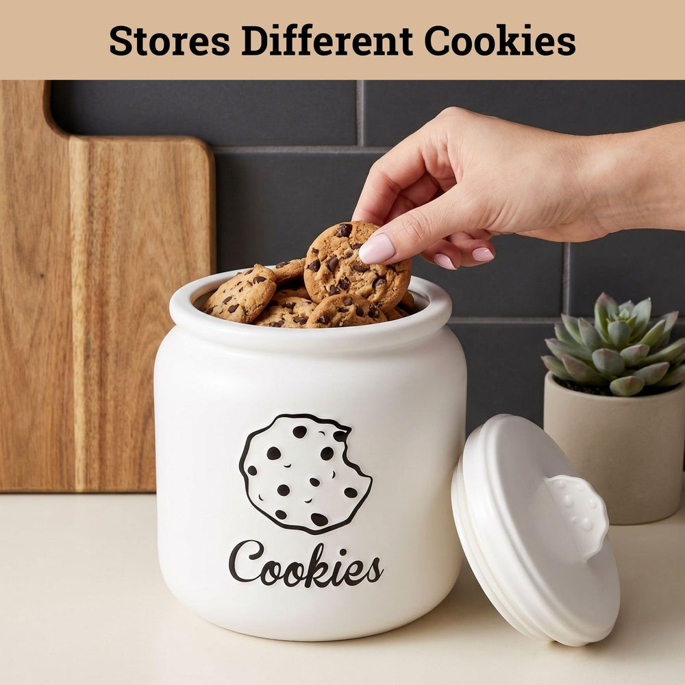 HB Design Co. comparaison taille avec biscuits, montre capacité réelle
