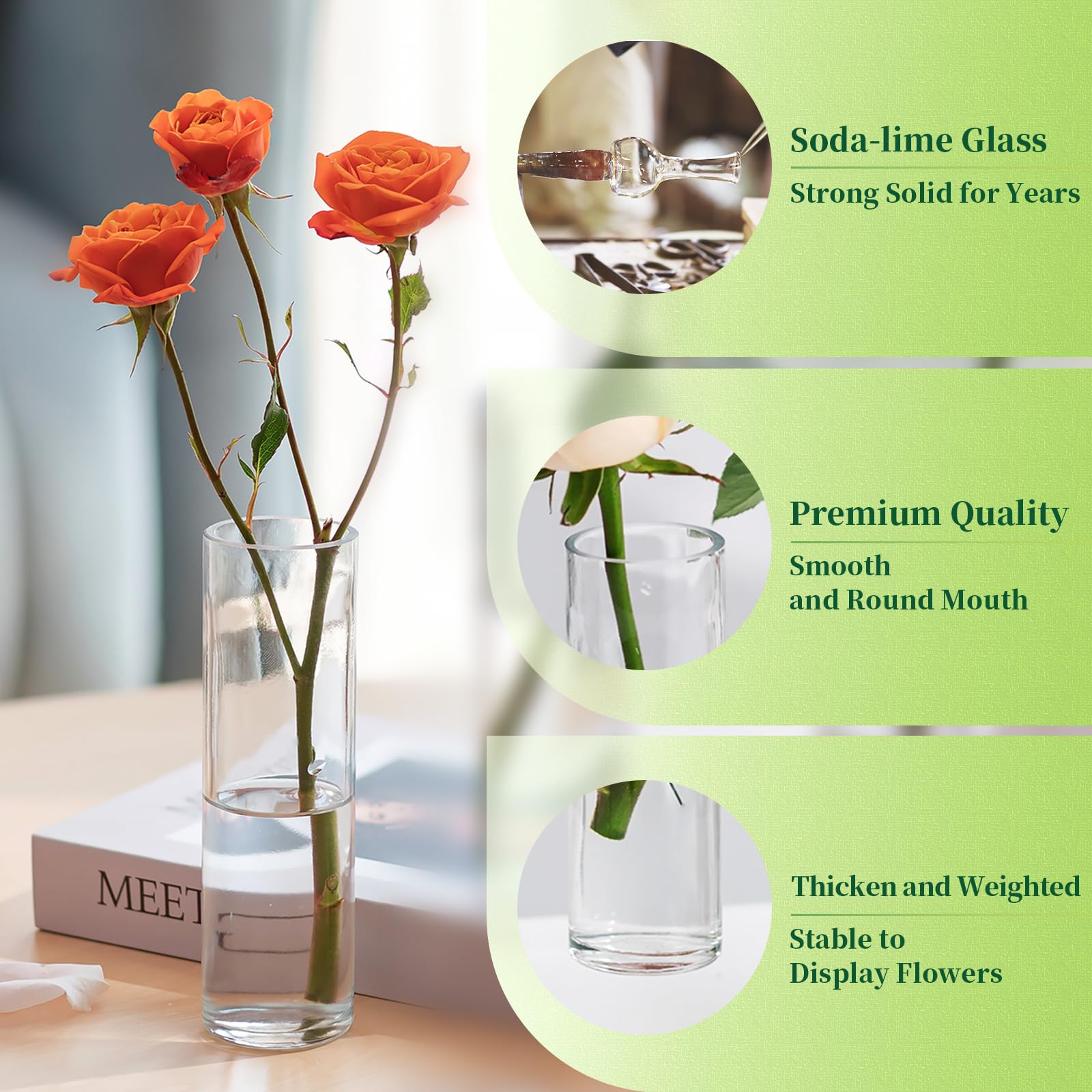 Hewory vase utilisé pour boutures montrant les racines, utile pour propagation
