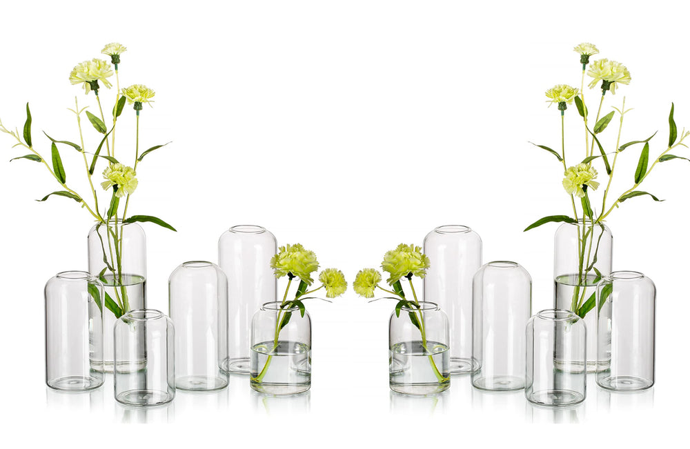 Hewory lot de 12 vases avant plan montrant silhouette élégante et polyvalence