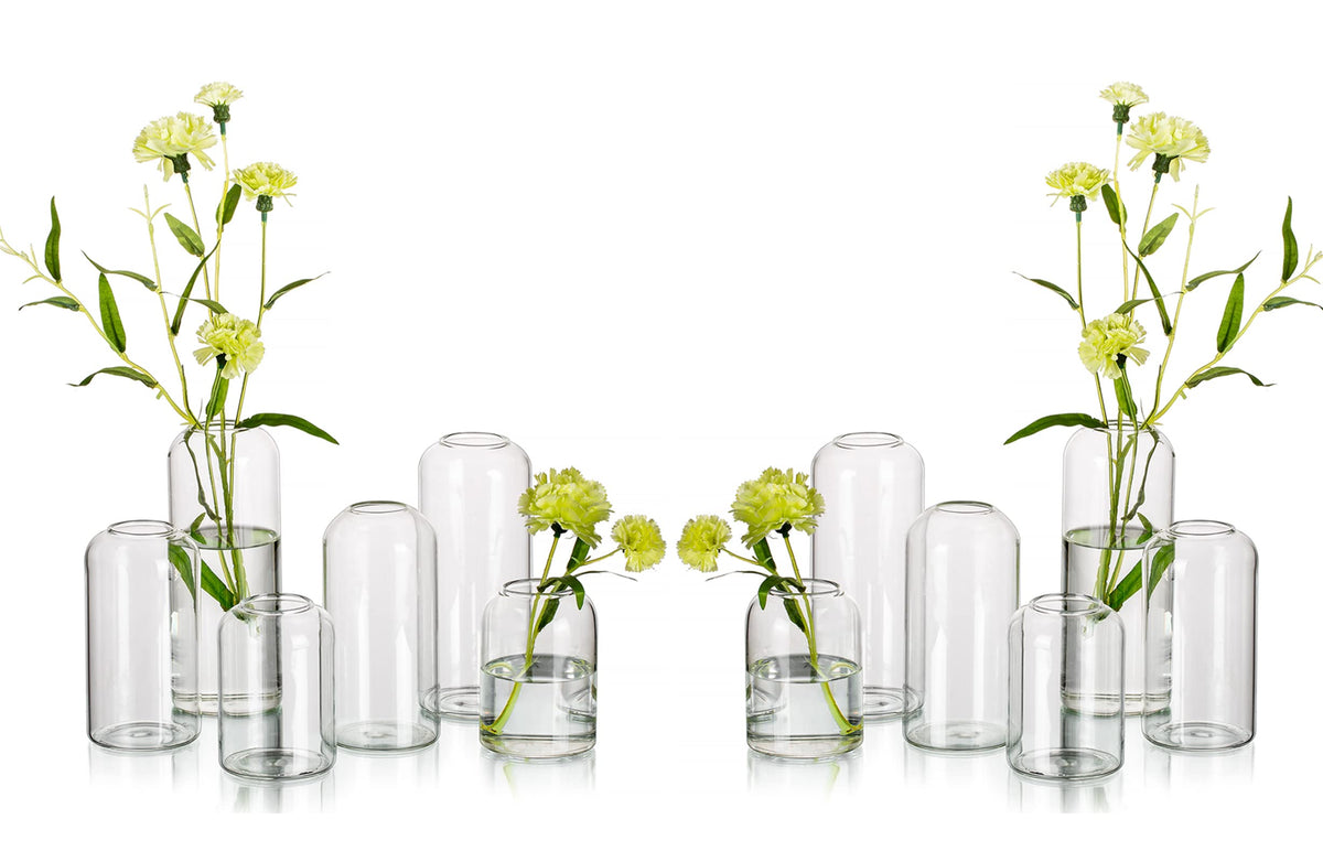 Hewory lot de 12 vases avant plan montrant silhouette élégante et polyvalence