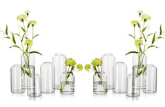 Hewory lot de 12 vases avant plan montrant silhouette élégante et polyvalence