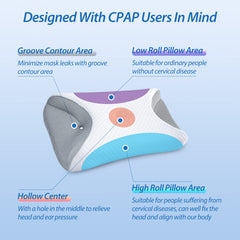 HOMCA oreiller coupe profil illustrant zones évidées et soutien cervical