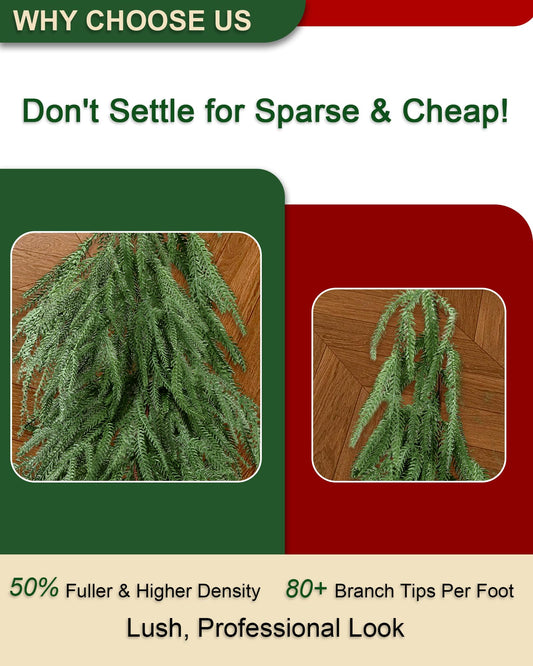 homchy gros plan branches Norfolk Pine montrant texture real touch
