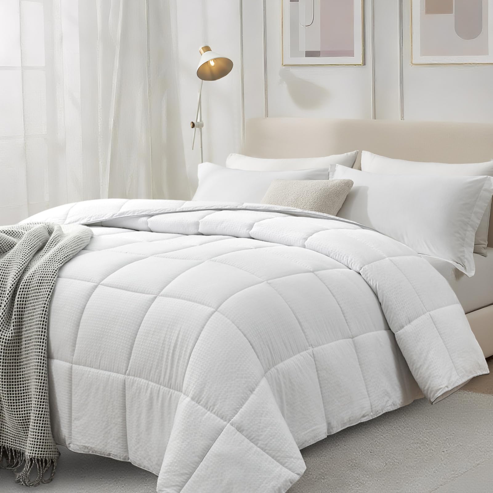 Homelike Moment comparaison de taille queen illustrant dimensions exactes