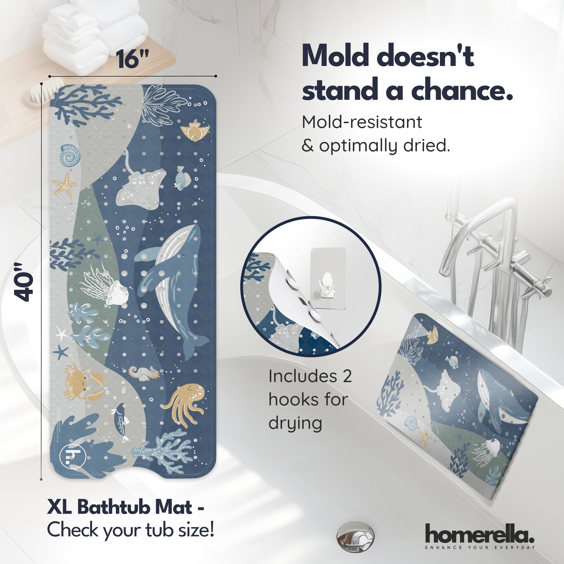 Homerella détail des ventouses assurant adhérence stable
