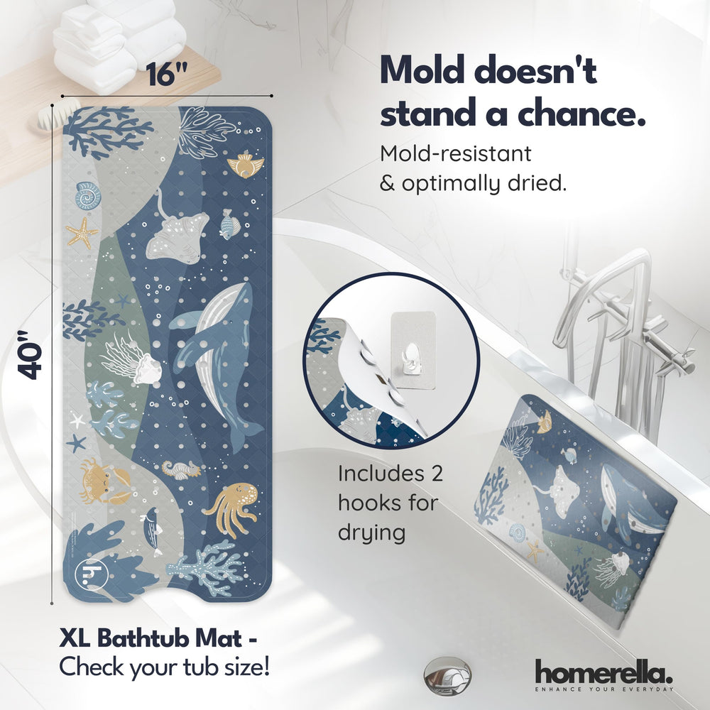 Homerella détail des ventouses assurant adhérence stable