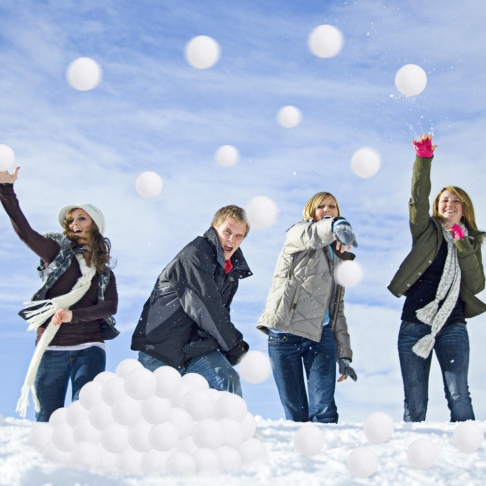 Homiar coffret range boules ouvert pour transport ordonné