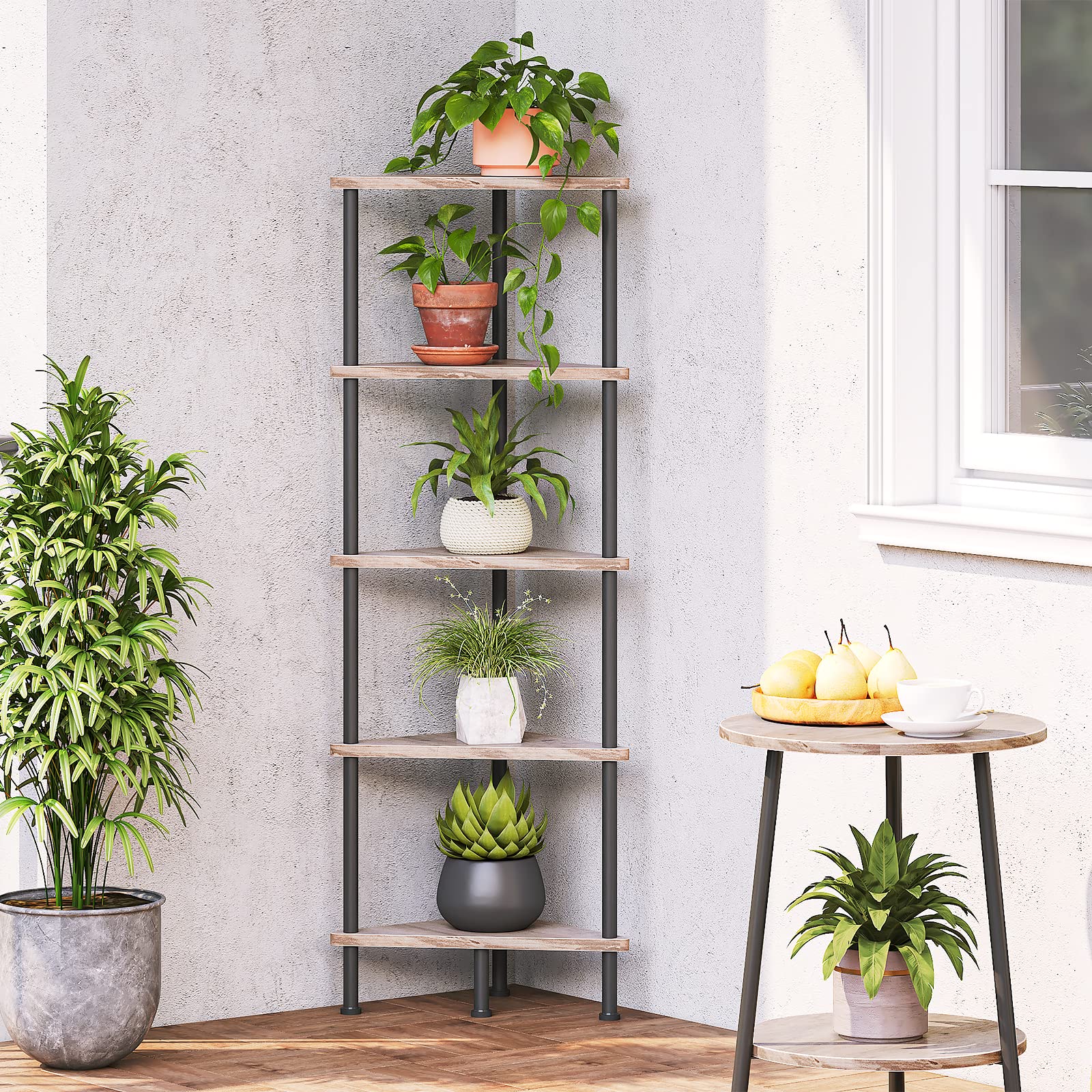 HOOBRO étagère utilisée pour plantes et livres illustrant polyvalence