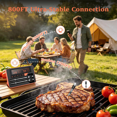 HOPEPOP thermomètre utilisé sur un barbecue, surveillance fiable à distance