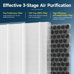 Horserdy gros plan du charbon actif illustrant adsorption d'odeurs pour air plus frais