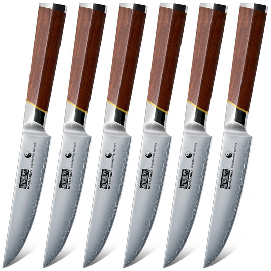 HOSHANHO vue frontale du coffret de 6 couteaux à steak, présentation élégante