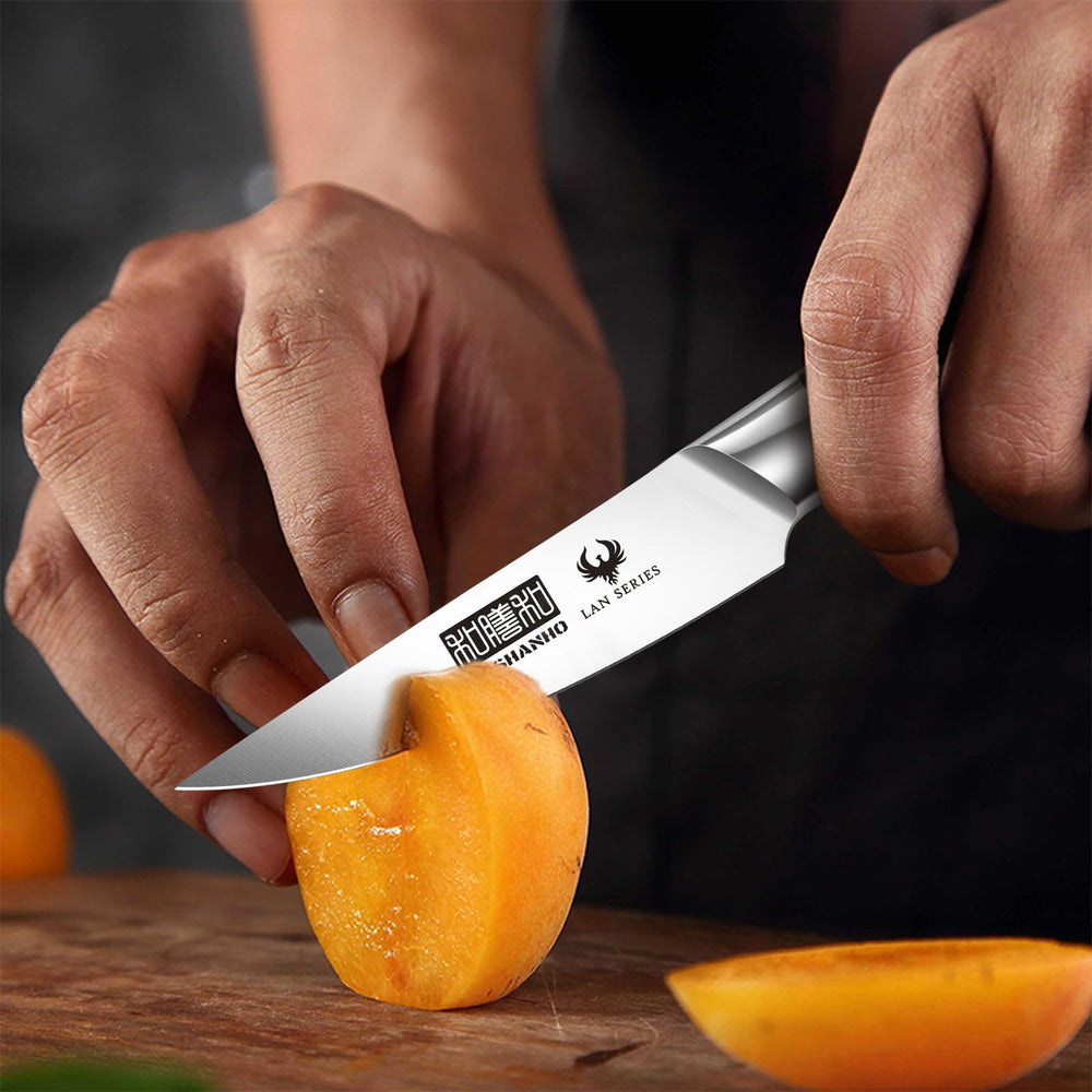 HOSHANHO finition satinée de la lame réduisant adhérence aliments