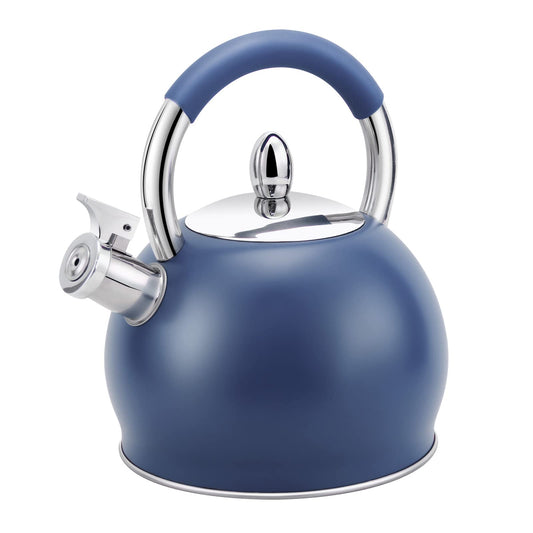 HRHongRui bouilloire face avant bleu, design élégant et capacité 3 L